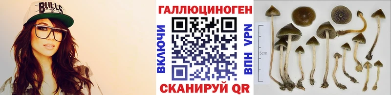 Галлюциногенные грибы Magic Shrooms  Киселёвск 